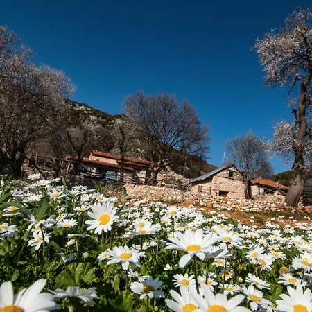 Secluded, Heavenly, Rustic Casa di campagna *